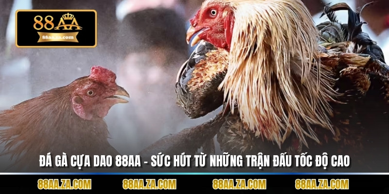 Đá Gà Cựa Dao 88aa – Sức Hút Từ Những Trận Đấu Tốc Độ Cao